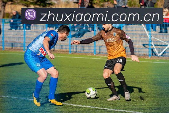 华体在线登录入口服务体系